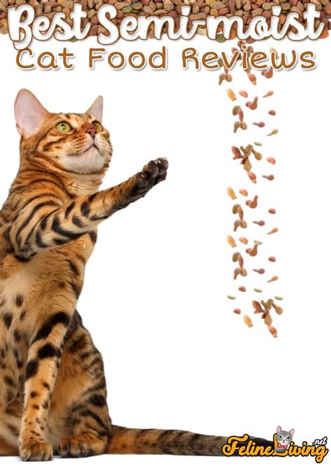 Top 5 Best Semi Moist Cat Food Reviews November 2023