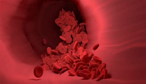 Blood Thinners And How They Work Your Medical Questions Answered