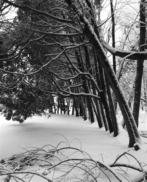 Pin By Chris Bennem On Winter Scenes Winter Scenes Scenes Outdoor