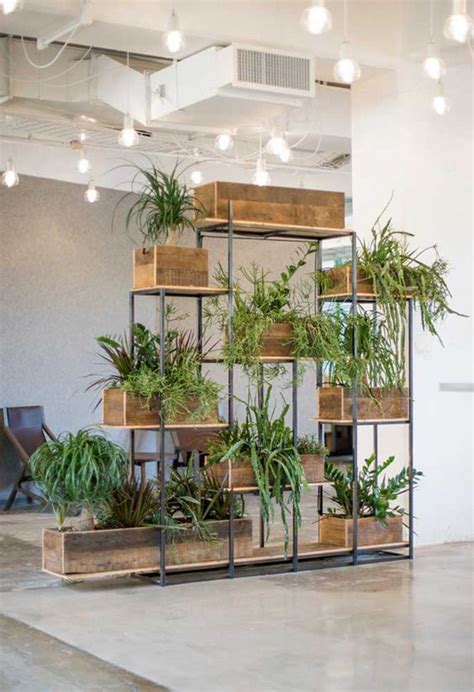 20 Fresh And Natural Plant Dividers For Any Room