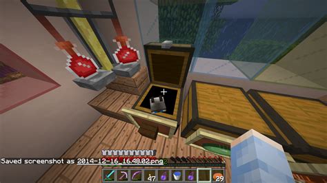 What is up with cats and boxes? : Minecraft