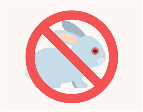 We did not find results for: Animal Testing Illustrations, Royalty-Free Vector Graphics & Clip Art - iStock