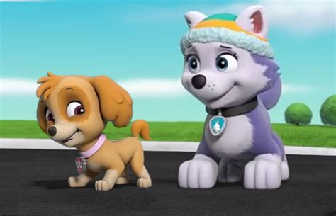Everest And Skye Paw Patrol Pictures Paw Patrol Skye