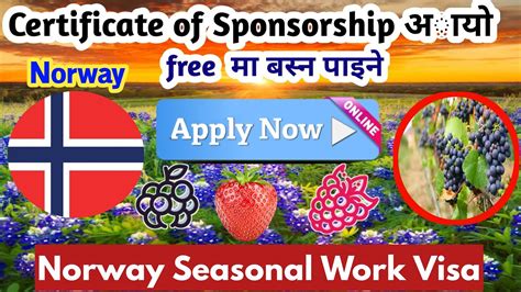 Seasonal Jobs In Norway Norway Seasonal Jobs How To Apply Norway