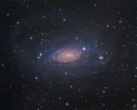 New Discovery Anoints Alcyoneus As The Largest Galaxy Of All Big Think