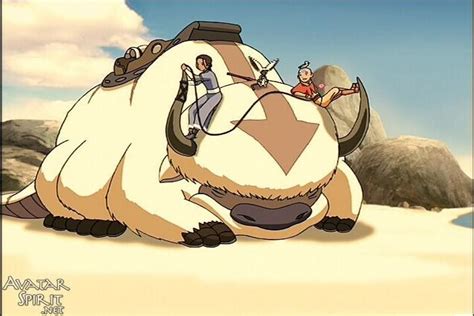 101 best images about appa on pinterest the legend of korra avatar and greatest hits