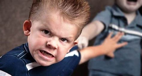 Aggression In Young Children How To Handle Tips From Pros
