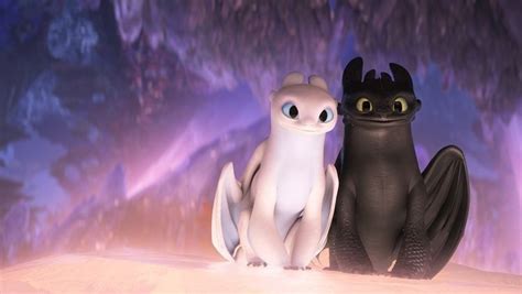 A Toothless And A Light Fury In Httyd 3 How Train Your Dragon