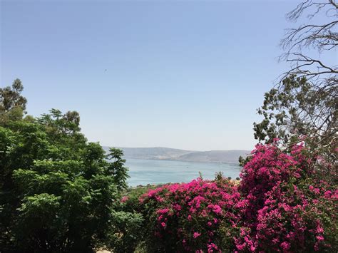 Sea Of Galilée Sea Of Galilee Tiberias Sea