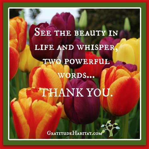 See The Beauty In Life Grateful Quotes Be Yourself Quotes Gratitude