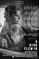 Image gallery for A Bird Flew In - FilmAffinity