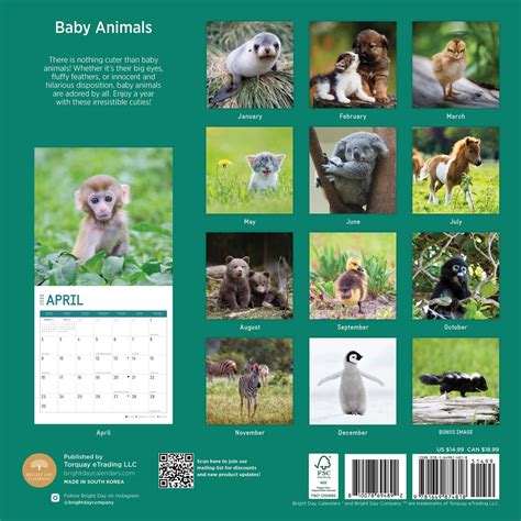 2023 Baby Animals Wall Calendar By Bright Day 12x12 Inch Etsy