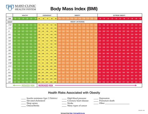 Everything You Need To Know About Bmi