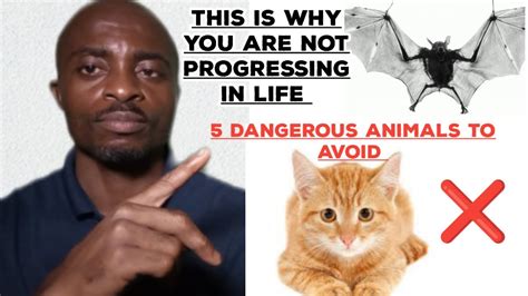 5 Dangerous Animals You Should Never Allow In Your Compound To Remain