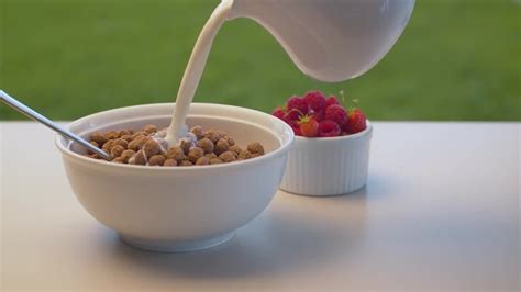 Milk On Cereal Stock Video Motion Array