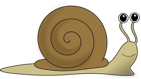 Download High Quality Snail Clipart Slow Transparent Png Images Art