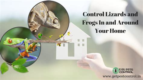 It's not just that they are scary, but they also can lead to some serious health problems. How to Monitor and Control Lizards and Frogs In and Around ...