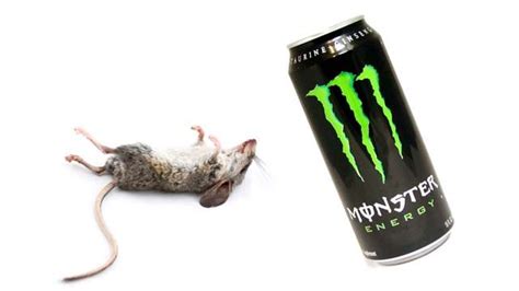 This Is True That A Dead Mouse Was Found In The Energy Drink From Washington By A 19 Year Old