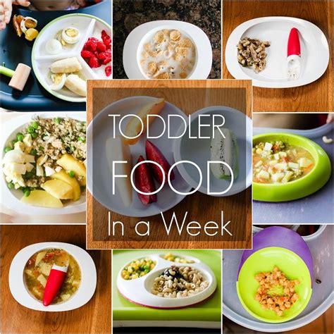 By 10 to 12 months, your baby is ready to explore new textures and tackle some finely chopped bites. healthy recipes for toddlers 12-18 months