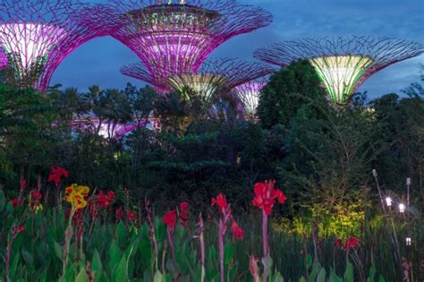 Singapore The City In A Garden Sets An Example For A Green Planet