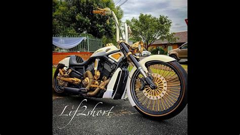 Custom V Rod Harley Davidson Muscle Bikes Youtube