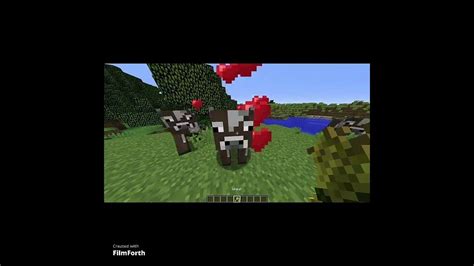 How To Tame Cow In Minecraft Minecraft Shorts Youtube