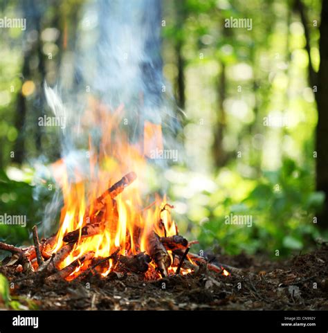 Bonfire In The Forest Stock Photo Alamy
