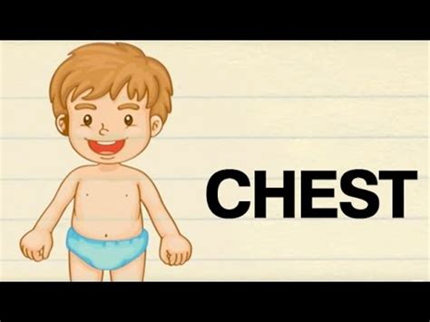 Do not over inflate your chest. How To Pronounce 'CHEST' | सीना | Pronunciation In HINDI | Parts Of The Body | HD | Lehren Kids ...
