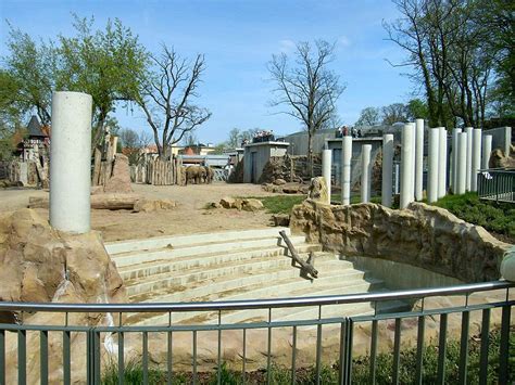 Maybe you would like to learn more about one of these? Datei:Zoologischer Garten Halle (Saale),Elefantenhaus.JPG ...