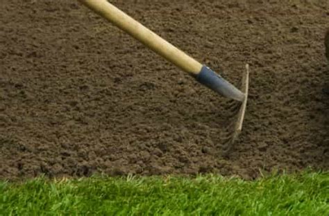 How To Prepare Soil For Planting