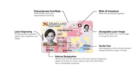New Maryland License Real Id Compliant Thales