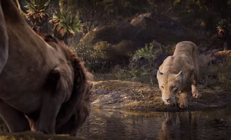 ‘il Re Leone Annunciata La Colonna Sonora Con Beyoncé Elton John E