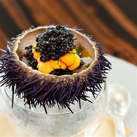 How To Cook With Sea Urchin Sea Urchin Harvest Au