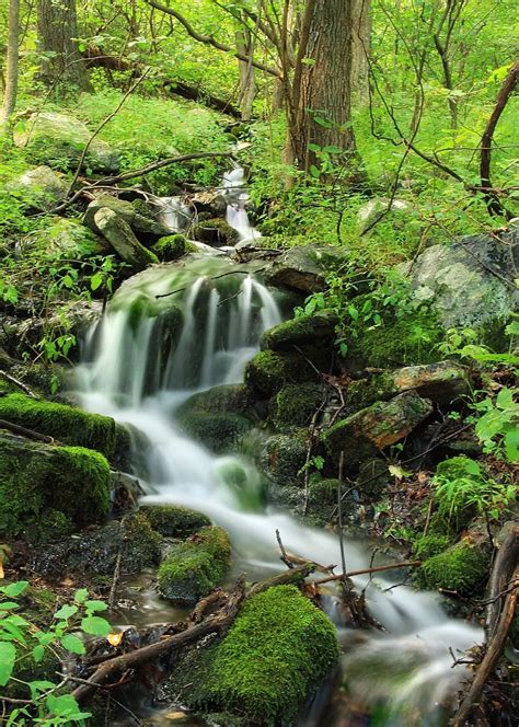 Falling Spring Appalachian Trail Waterfall Pennsylvania Source Plus