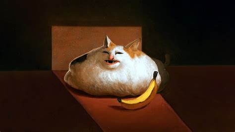 Cats Memes Bananas Wallpaper Resolution X Id Wallha Com