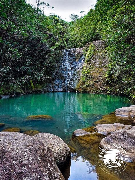 Best Waterfalls On Oahu Hawaii In 2021 Travel Fun Best Places To