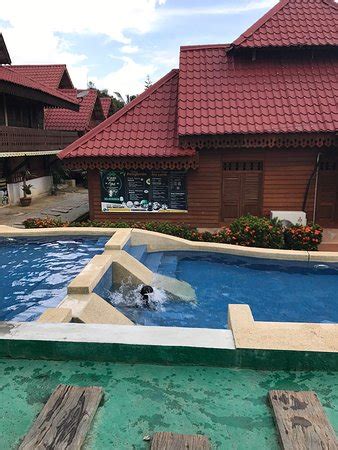 The property is around 3.1 miles from state museum of terengganu, 3.7 miles from crystal mosque and 1.2 miles from chinatown. KAMPONGSTAY DESA MURNI - Specialty Hotel Reviews (Temerloh ...
