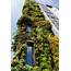 2 Vertical Garden Irrigation Options To Keep Your Living Wall 