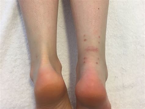 Simple Science: How to Make a Volcano with Kids