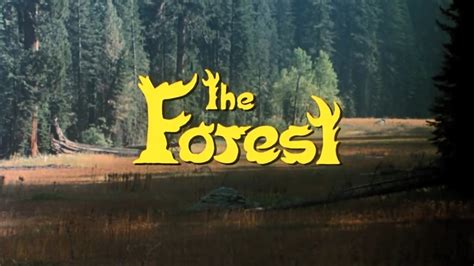 The Forest 1982 Cars Bikes Trucks And Other Vehicles