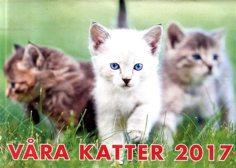Almanacka Våra Katter 2017 Smakprov