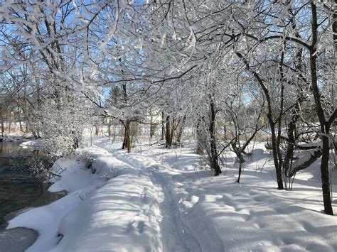 Milwaukee Man Captures Striking Photos Of Wisconsin Winter Frost Wuwm