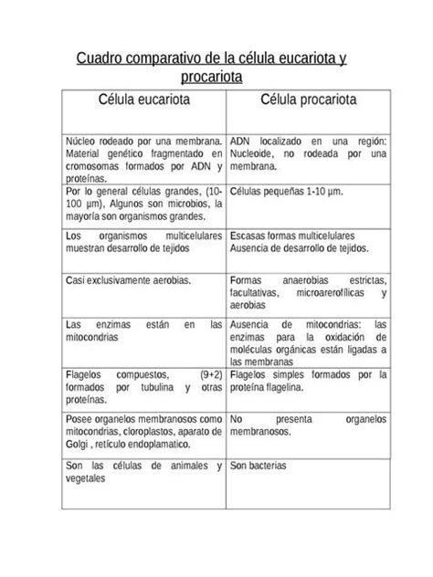 Cuadro Comparativo De La Celula Eucariota Y Procariota Pdmrea