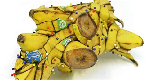 Banana Art Mind Blowing Deconstructed Banana Art