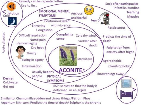 Aconite Graphic Homeopathy Homeopathy Treatment Homeopathy Remedies