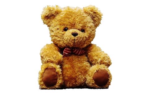 Miś Teddy Niedźwiedź · Darmowe Zdjęcie Na Pixabay