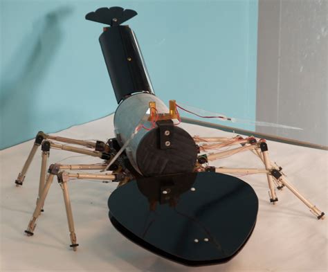 Biomimetic Underwater Robot Program