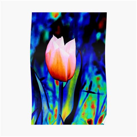 Colorful Tulip Poster By Ffulya Redbubble