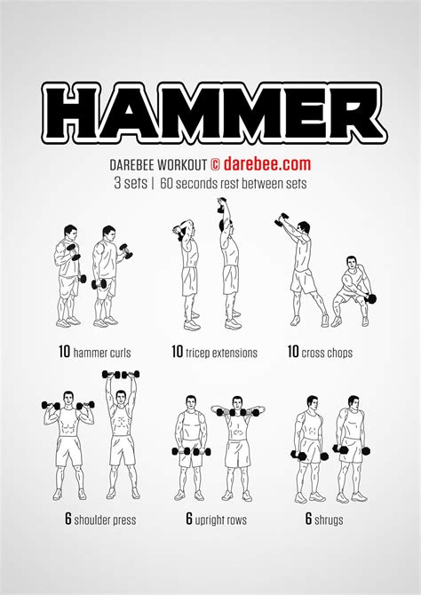 Hammer Workout Fitness Body Dumbell Workout Strength Workout