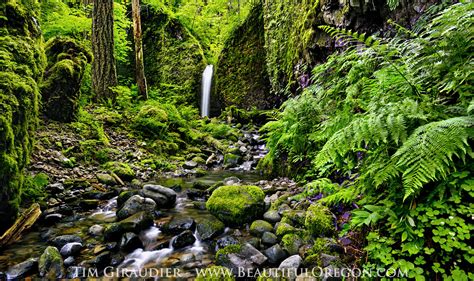 Mossy Grotto Falls Ruckle Creek Columbia River Gorge Oregon